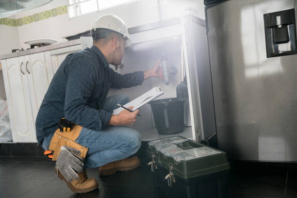 Best Best Plumbers Near Me  in Roselle, IL