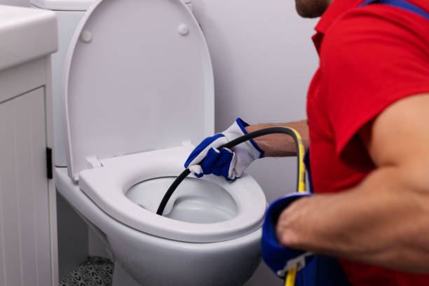 Best Same-Day Plumbing Service  in Roselle, IL