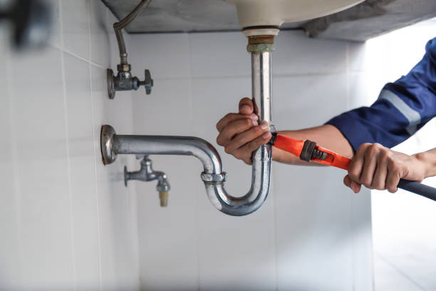 Best Plumbing Installation Services  in Roselle, IL