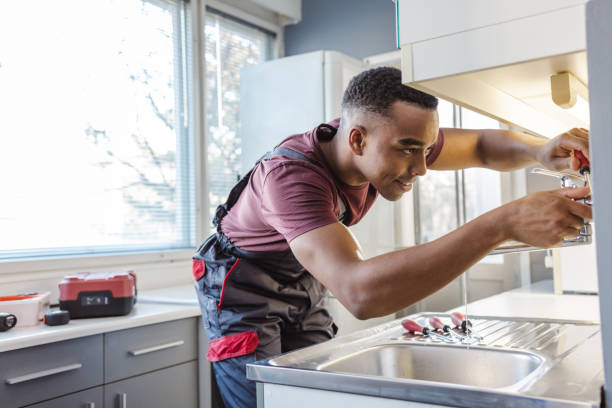 Best Local Plumber Services  in Roselle, IL