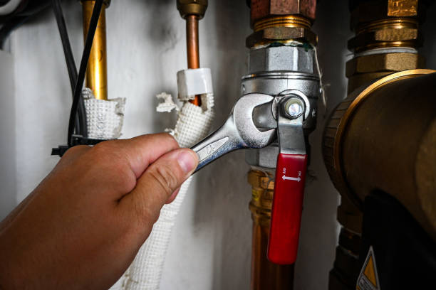 Best Plumbing Inspection Services  in Roselle, IL